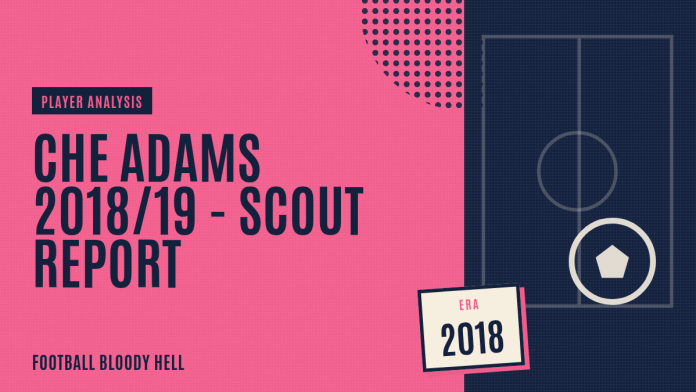 Che Adams 2018/19 - scout report